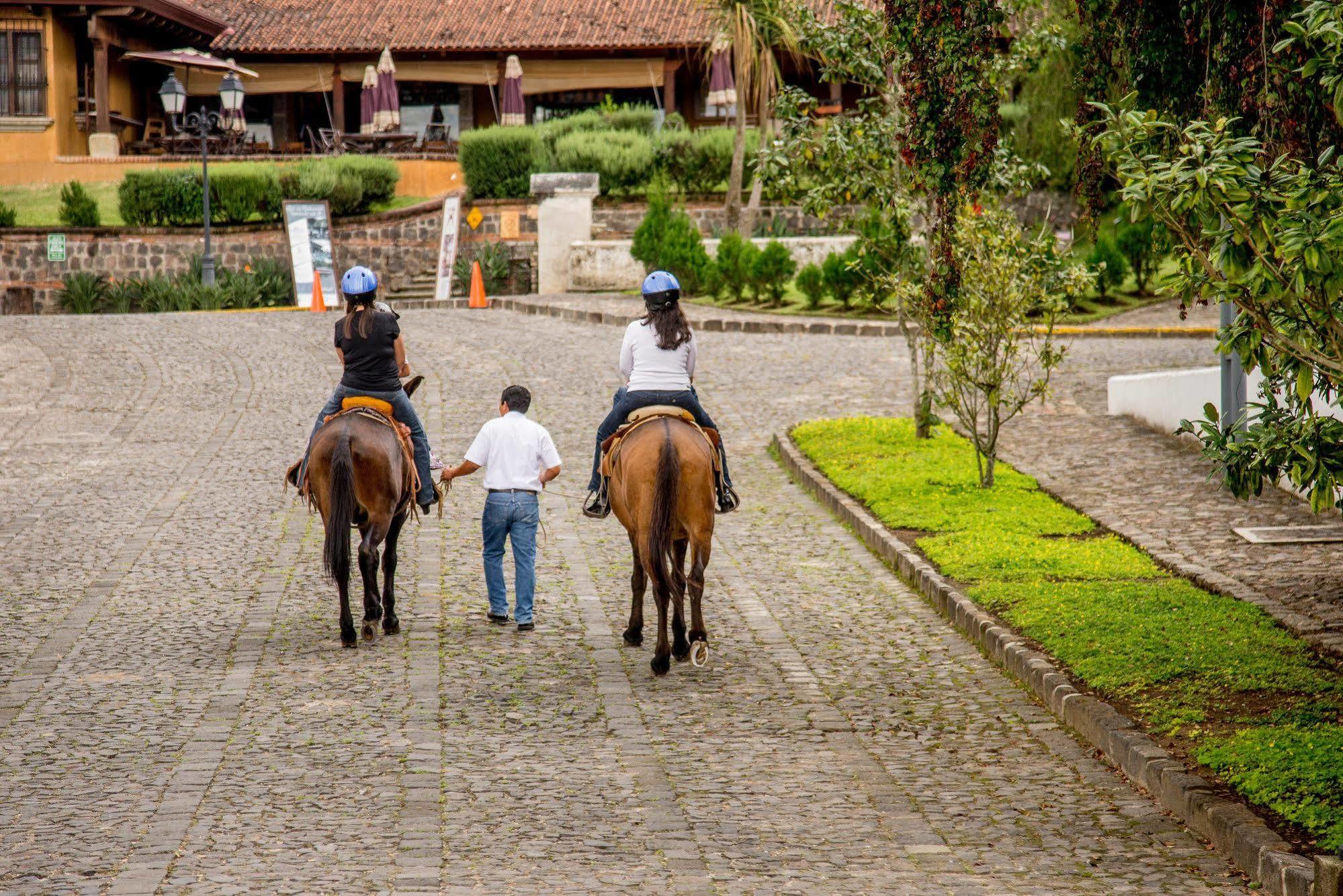 Filadelfia Coffee Resort & Tour Jocotenango Buitenkant foto