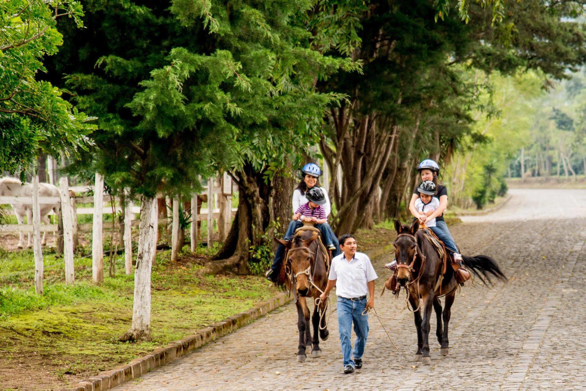 Filadelfia Coffee Resort & Tour Jocotenango Buitenkant foto